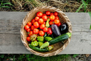 孕妇能吃芦荟和麝香会导致流产吗? 孕妇能吃芦荟和麝香会导致流产吗?